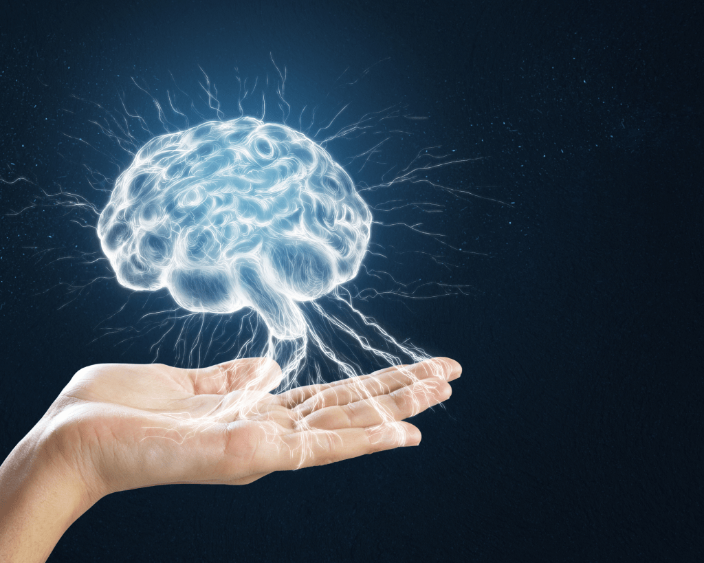 The Role of Neuroplasticity in Tension and Trauma Releasing Exercises&nbsp;(TRE®)